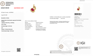 Petite Ruby Charm Pendant