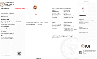 Golden Key Spinel Ruby Halo Pendant