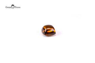 Smooth citrine cab with golden-brown hues, light reflection on plain white.